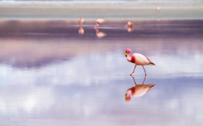 Mucho más que un destino de costa: Tres espacios naturales de Valencia